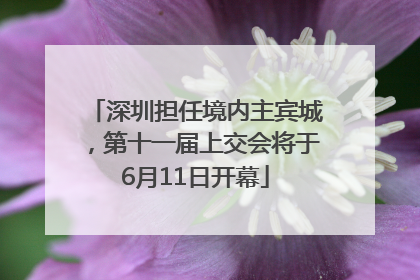 深圳担任境内主宾城，第十一届上交会将于6月11日开幕
