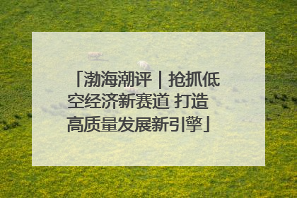 渤海潮评｜抢抓低空经济新赛道 打造高质量发展新引擎