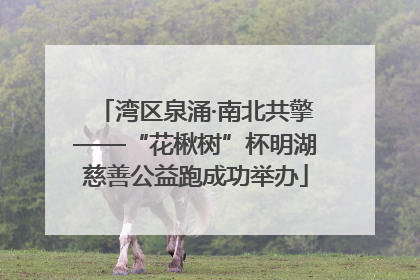 湾区泉涌·南北共擎——“花楸树”杯明湖慈善公益跑成功举办