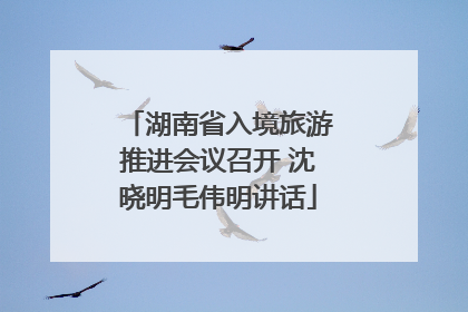 湖南省入境旅游推进会议召开 沈晓明毛伟明讲话