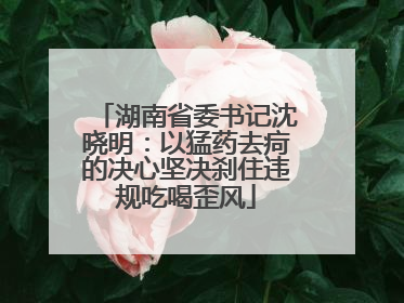 湖南省委书记沈晓明：以猛药去疴的决心坚决刹住违规吃喝歪风