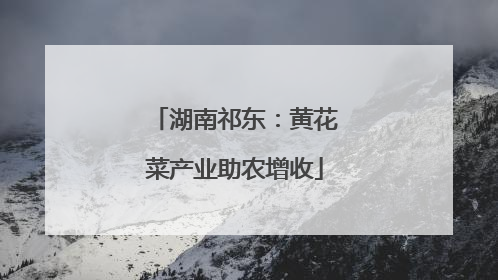 湖南祁东：黄花菜产业助农增收