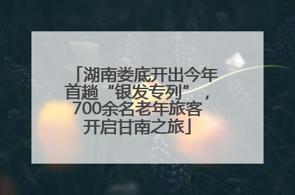 湖南娄底开出今年首趟“银发专列”，700余名老年旅客开启甘南之旅