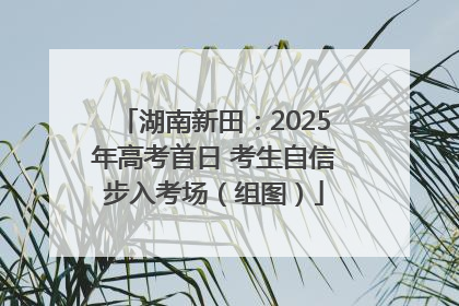 湖南新田：2025年高考首日 考生自信步入考场（组图）