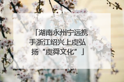 湖南永州宁远携手浙江绍兴上虞弘扬“虞舜文化”