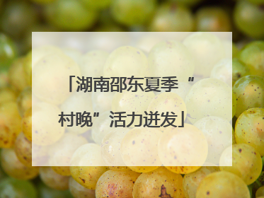 湖南邵东夏季“村晚”活力迸发