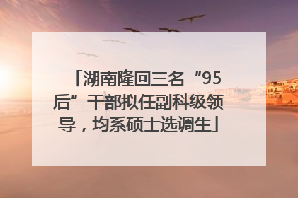 湖南隆回三名“95后”干部拟任副科级领导，均系硕士选调生