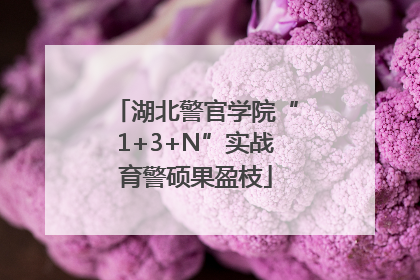 湖北警官学院“1+3+N”实战育警硕果盈枝