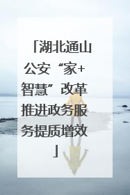 湖北通山公安“家+智慧”改革推进政务服务提质增效