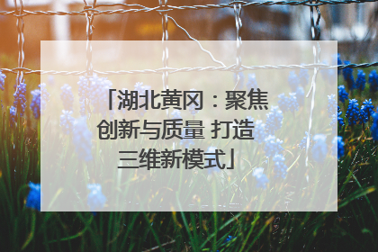 湖北黄冈：聚焦创新与质量 打造三维新模式