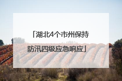 湖北4个市州保持防汛四级应急响应