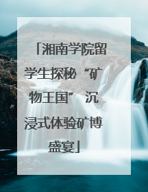 湘南学院留学生探秘“矿物王国” 沉浸式体验矿博盛宴