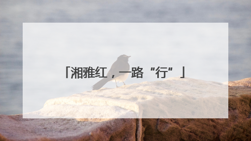 湘雅红，一路“行”