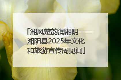 湘风楚韵润湘阴——湘阴县2025年文化和旅游宣传周见闻
