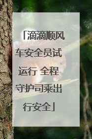 滴滴顺风车安全员试运行 全程守护司乘出行安全