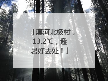 漠河北极村，13.2℃，避暑好去处！