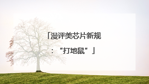 漫评美芯片新规:“打地鼠”