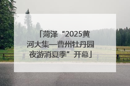 菏泽“2025黄河大集—曹州牡丹园夜游消夏季”开幕