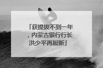 获提拔不到一年，内蒙古银行行长洪少平再履新