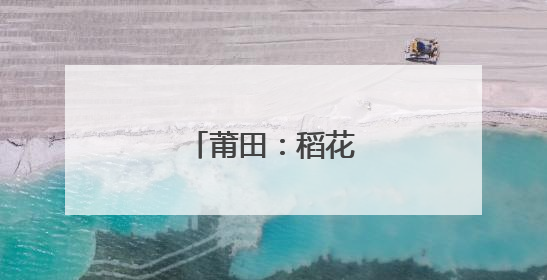 莆田：稻花香里产业新