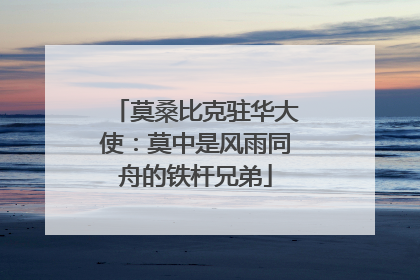 莫桑比克驻华大使：莫中是风雨同舟的铁杆兄弟