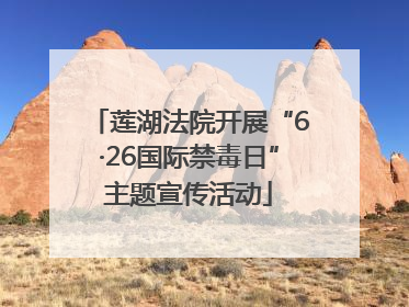 莲湖法院开展“6·26国际禁毒日”主题宣传活动