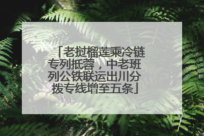 老挝榴莲乘冷链专列抵蓉，中老班列公铁联运出川分拨专线增至五条