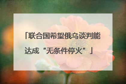 联合国希望俄乌谈判能达成“无条件停火”
