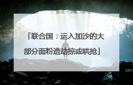 联合国：运入加沙的大部分面粉遭劫掠或哄抢