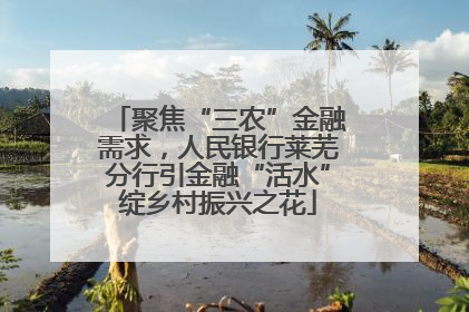 聚焦“三农”金融需求，人民银行莱芜分行引金融“活水”绽乡村振兴之花
