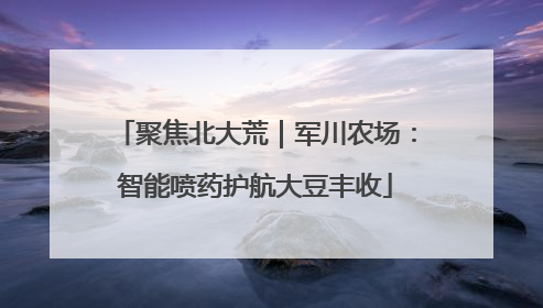 聚焦北大荒｜军川农场：智能喷药护航大豆丰收