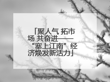 聚人气 拓市场 共奋进——“塞上江南”经济焕发新活力