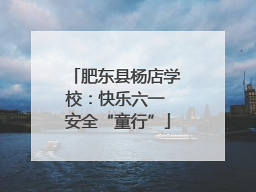 肥东县杨店学校：快乐六一 安全“童行”