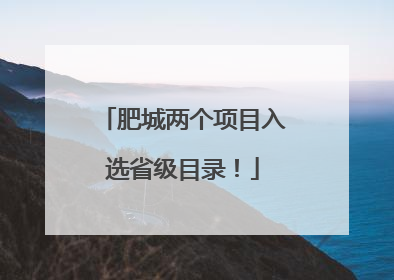 肥城两个项目入选省级目录！