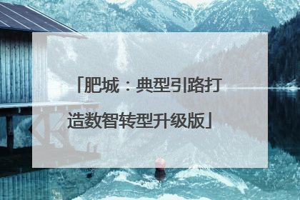肥城：典型引路打造数智转型升级版