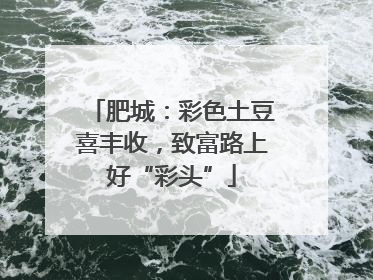 肥城：彩色土豆喜丰收，致富路上好“彩头”