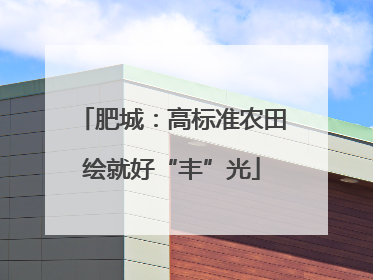 肥城：高标准农田绘就好“丰”光