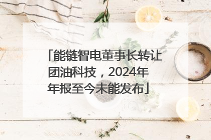 能链智电董事长转让团油科技，2024年年报至今未能发布