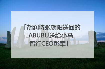 胡润将张朝阳送回的LABUBU送给小马智行CEO彭军