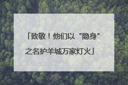 致敬！他们以“隐身”之名护羊城万家灯火