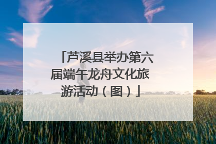 芦溪县举办第六届端午龙舟文化旅游活动（图）