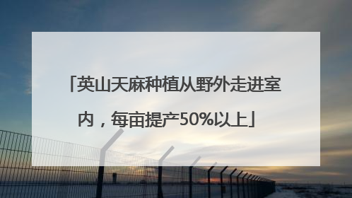英山天麻种植从野外走进室内，每亩提产50%以上