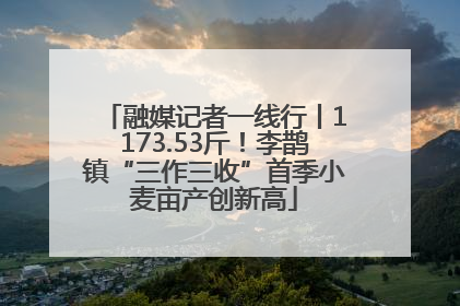 融媒记者一线行丨1173.53斤！李鹊镇“三作三收”首季小麦亩产创新高