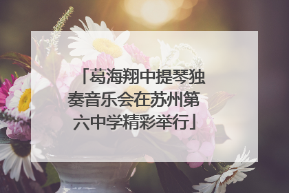 葛海翔中提琴独奏音乐会在苏州第六中学精彩举行