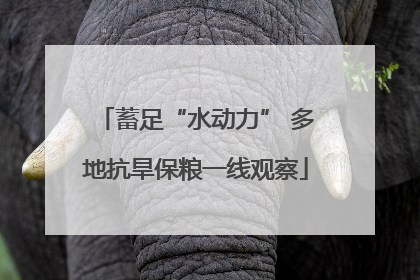 蓄足“水动力” 多地抗旱保粮一线观察