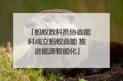 蚂蚁数科携协鑫能科成立蚂蚁鑫能 推进能源智能化