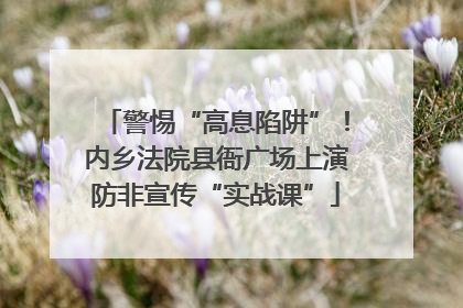 警惕“高息陷阱”！内乡法院县衙广场上演防非宣传“实战课”