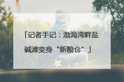 记者手记：渤海湾畔盐碱滩变身“新粮仓”