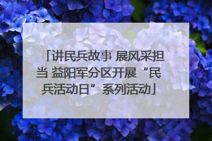 讲民兵故事 展风采担当 益阳军分区开展“民兵活动日”系列活动