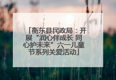 衡东县民政局：开展“润心伴成长 同心护未来”六一儿童节系列关爱活动
